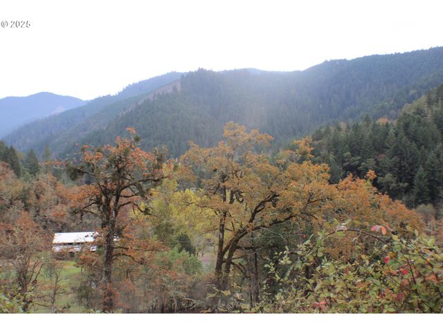 1320 SHOESTRING Rd, Riddle, OR 97469