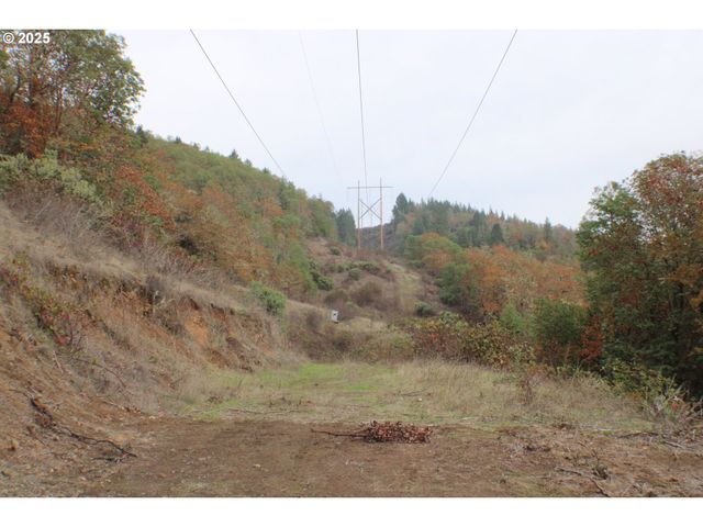 1320 SHOESTRING Rd, Riddle, OR 97469