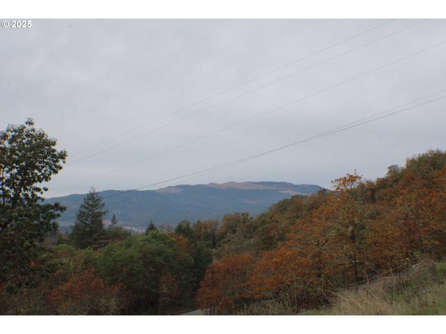 1320 SHOESTRING Rd, Riddle, OR 97469