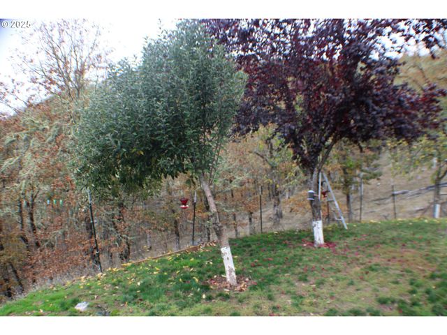 1320 SHOESTRING Rd, Riddle, OR 97469