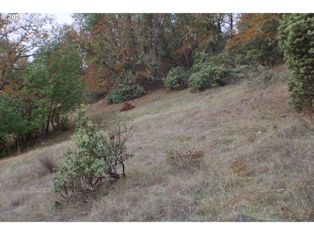 1320 SHOESTRING Rd, Riddle, OR 97469