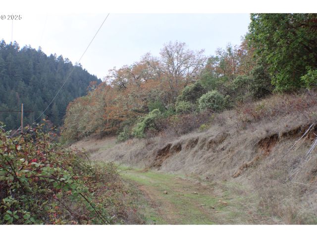 1320 SHOESTRING Rd, Riddle, OR 97469