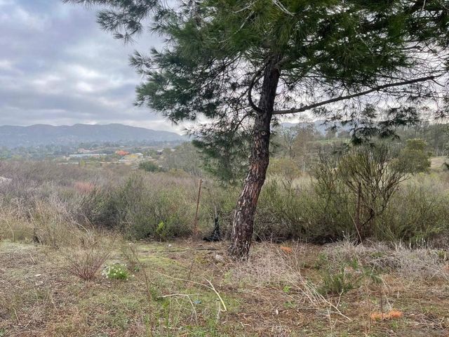 89 Yacoo Ct, Jamul, CA 91935