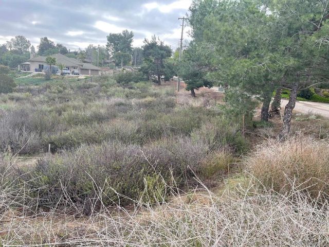 89 Yacoo Ct, Jamul, CA 91935