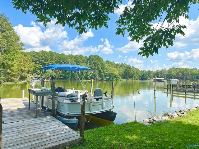 9 County Road 131, Cedar Bluff, AL 35959