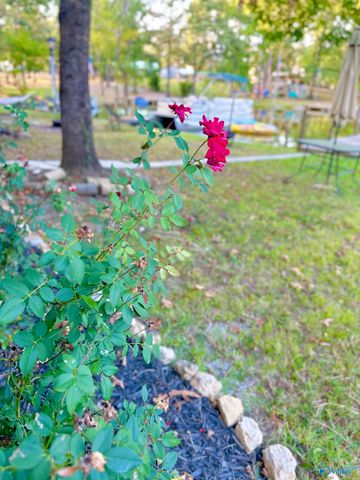 9 County Road 131, Cedar Bluff, AL 35959