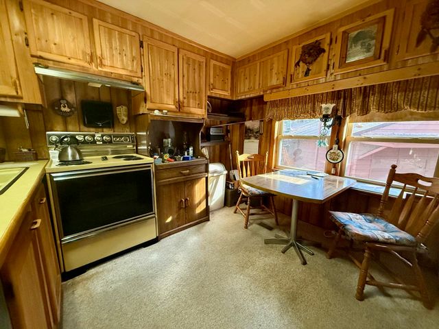 3374 W 12th Street, Baldwin, MI 49304