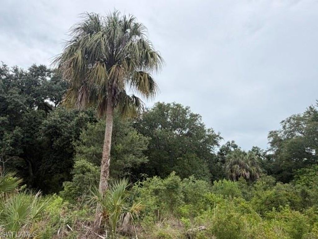1905 Hamilton AVE, LEHIGH ACRES, FL 33972 — exterior
