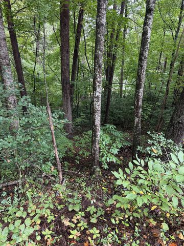 0 Little Wolfcreek Road, Murphy, NC 28906
