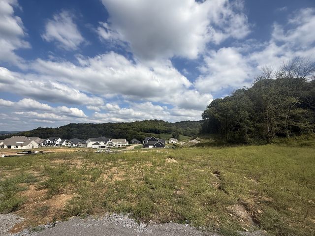 7262 Murrel Drive, Franklin, TN 37064