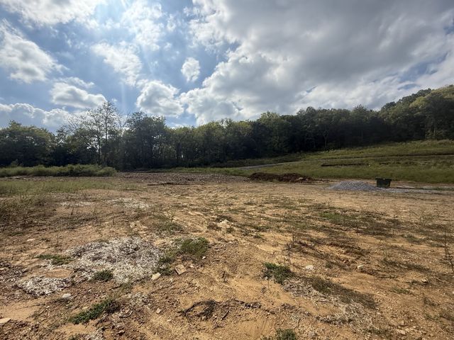 7262 Murrel Drive, Franklin, TN 37064