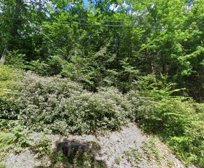 00 Taylor Rd Tr 111, Fallsburg, NY 12733