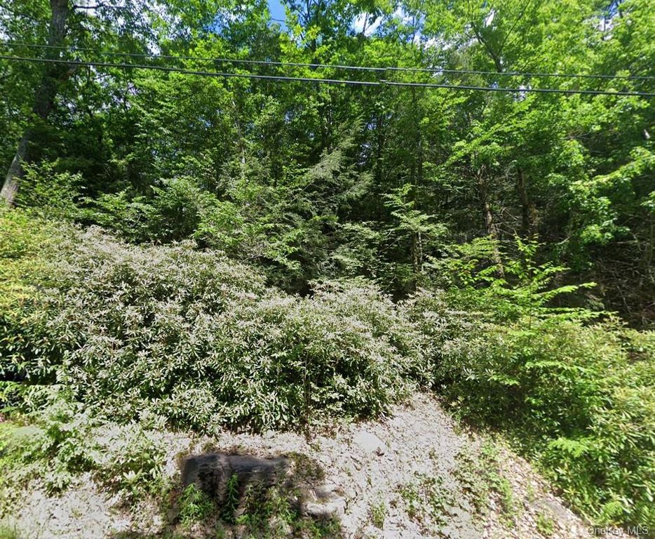 00 Taylor Rd Tr 111, Fallsburg, NY 12733