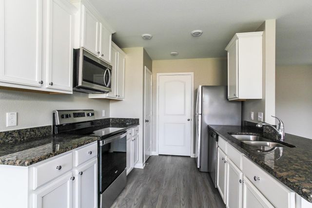 25213 Dickens Drive, Magnolia, TX 77355