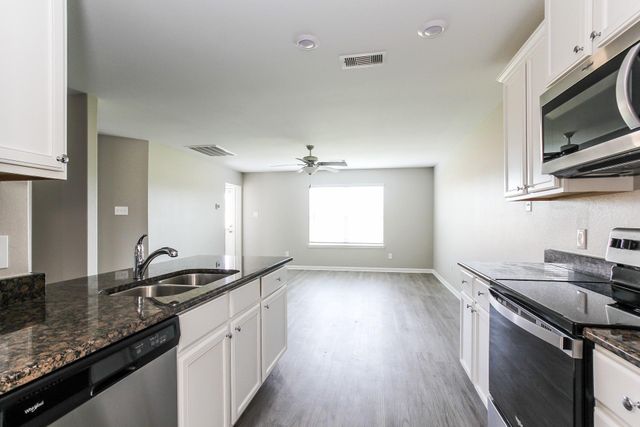 25213 Dickens Drive, Magnolia, TX 77355