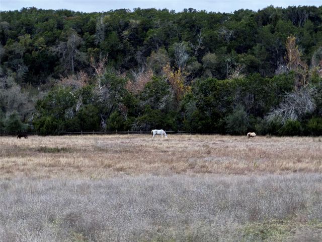 1441 Gatlin Creek RD, Dripping Springs, TX 78620