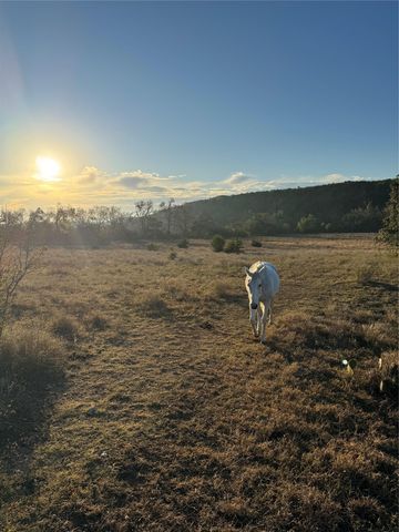 1441 Gatlin Creek RD, Dripping Springs, TX 78620