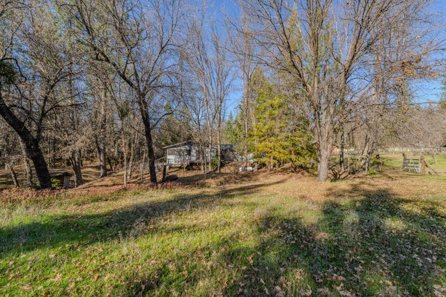 398 Rhoda Niderost Ln, West Point, CA 95255