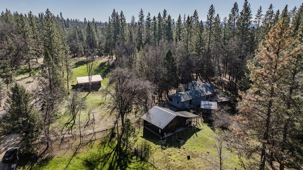 398 Rhoda Niderost Ln, West Point, CA 95255