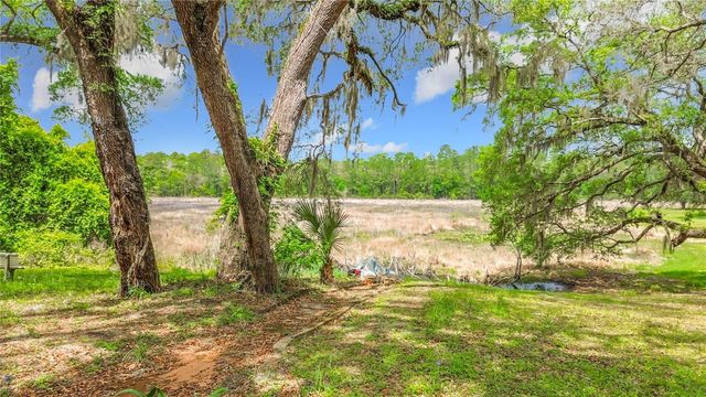 15415 SE 64TH PLACE, Ocklawaha, FL 32179