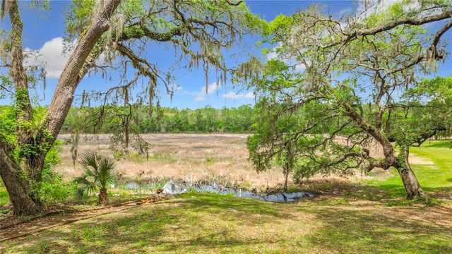 15415 SE 64TH PLACE, Ocklawaha, FL 32179