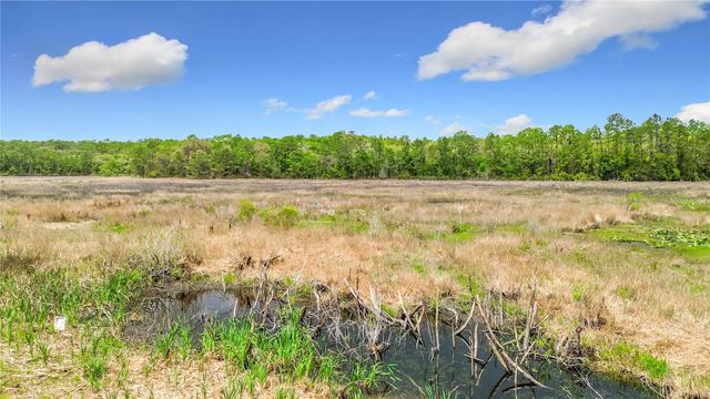 15415 SE 64TH PLACE, Ocklawaha, FL 32179