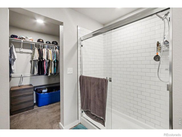 3654 Ronald Reagan Avenue, Wellington, CO 80549