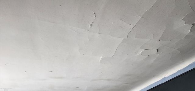 13900 Bringard Drive, Detroit, MI 48205