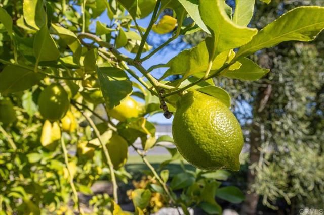 18218 Paradise Mountain Road SPC 89, Valley Center, CA 92082