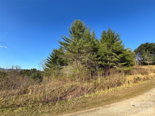 24 Dream Valley Drive 24, Clyde, NC 28721