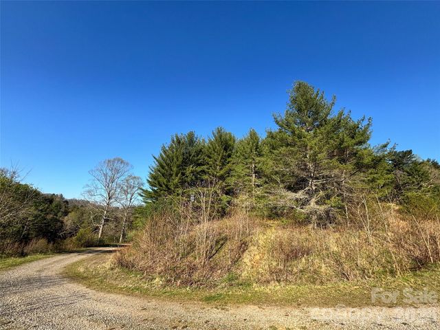 24 Dream Valley Drive 24, Clyde, NC 28721