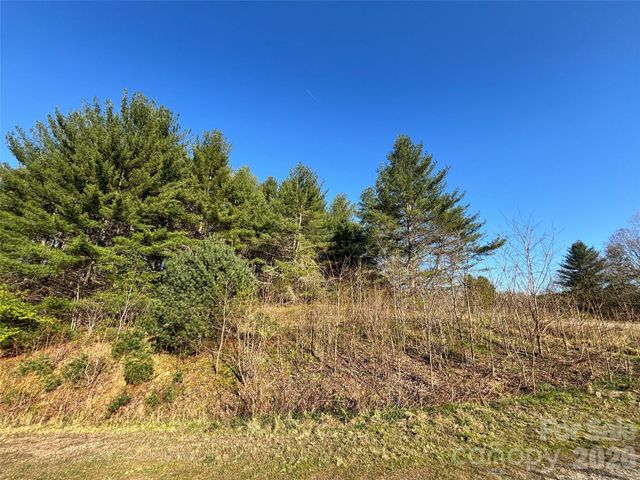 24 Dream Valley Drive 24, Clyde, NC 28721