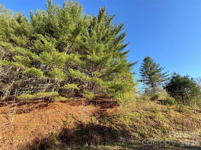 24 Dream Valley Drive 24, Clyde, NC 28721