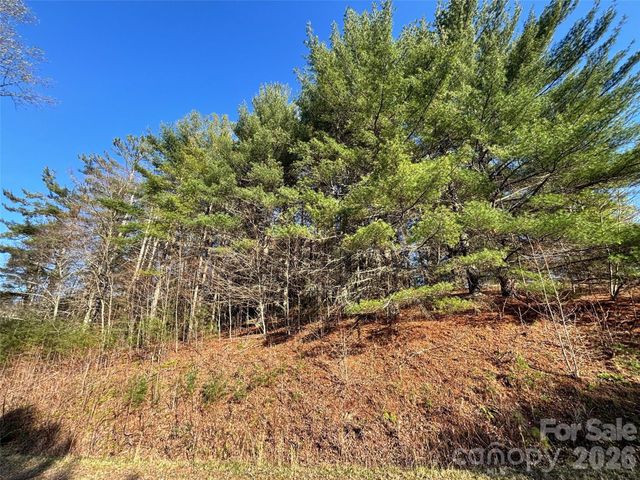 24 Dream Valley Drive 24, Clyde, NC 28721