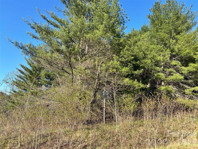 24 Dream Valley Drive 24, Clyde, NC 28721