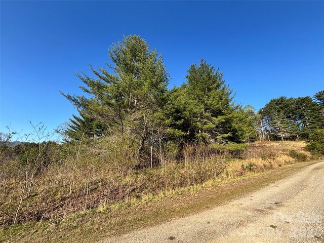 24 Dream Valley Drive 24, Clyde, NC 28721