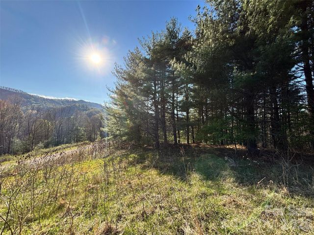 24 Dream Valley Drive 24, Clyde, NC 28721