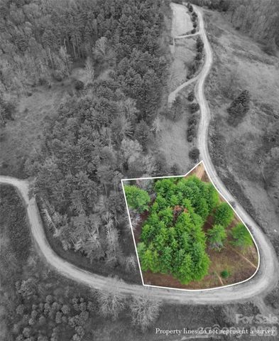 24 Dream Valley Drive 24, Clyde, NC 28721