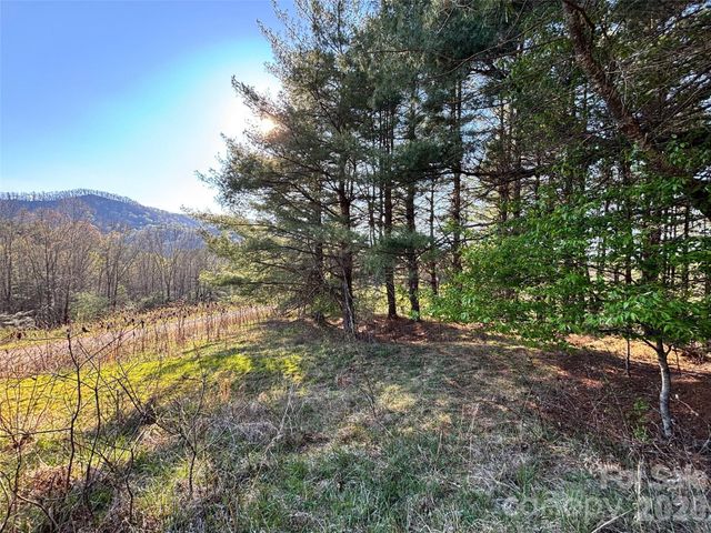 24 Dream Valley Drive 24, Clyde, NC 28721