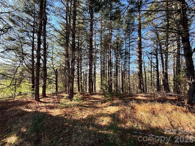 24 Dream Valley Drive 24, Clyde, NC 28721