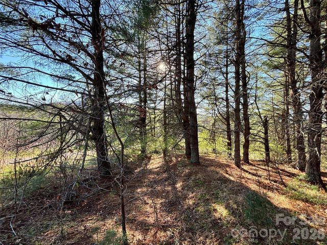 24 Dream Valley Drive 24, Clyde, NC 28721