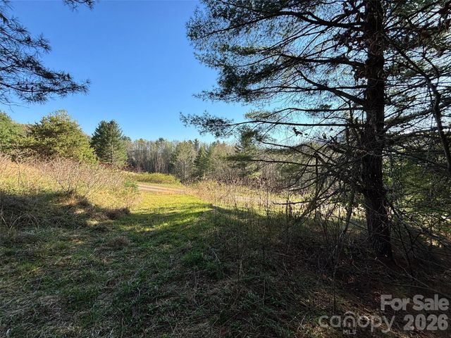 24 Dream Valley Drive 24, Clyde, NC 28721