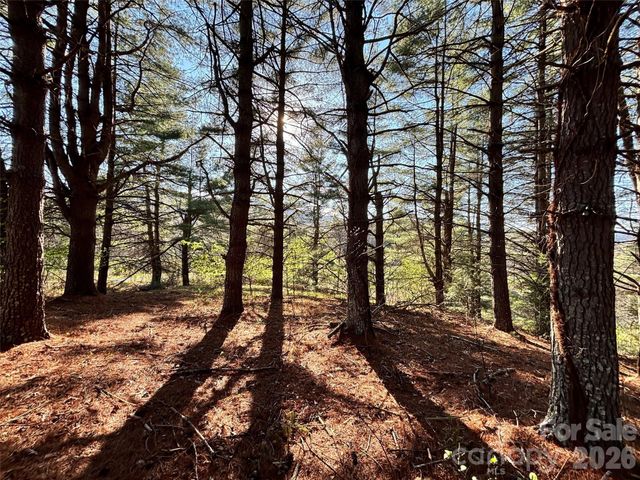 24 Dream Valley Drive 24, Clyde, NC 28721