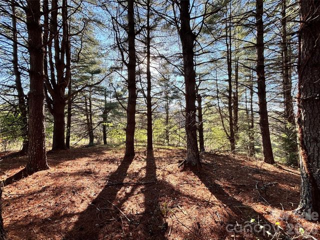 24 Dream Valley Drive 24, Clyde, NC 28721