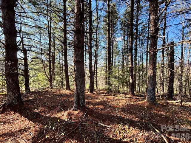24 Dream Valley Drive 24, Clyde, NC 28721