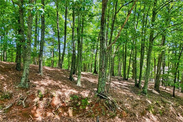 208 Columbine Drive, Big Canoe, GA 30143