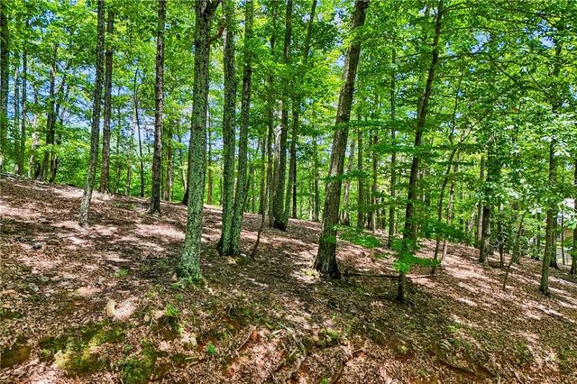 208 Columbine Drive, Big Canoe, GA 30143