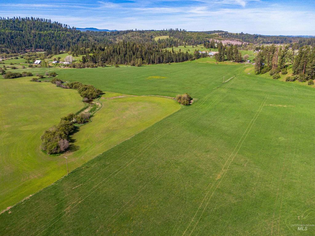 1101 Ruby Creek Rd, Harvard, ID 83834 photo 10