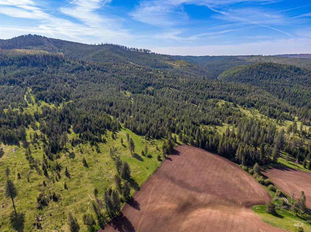 1101 Ruby Creek Rd, Harvard, ID 83834 photo 15