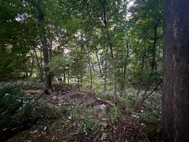 420 N High Street, Galena, IL 61036